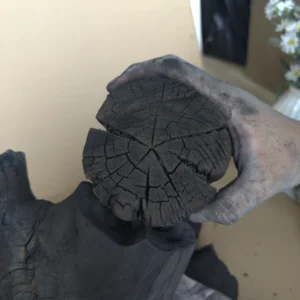 Premium Casuarina Charcoal