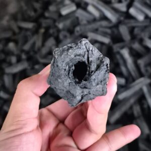 SAWDUST CHARCOAL 6 LamianGlobal than mun cua anh can 5