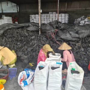 LONGAN CHARCOAL 2 LamianGlobal than nhan den anh rong
