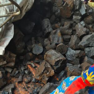 LONGAN CHARCOAL 3 LamianGlobal than nhan den anh trung
