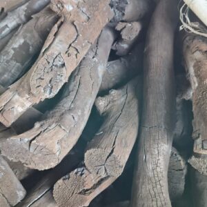 CASUARINA CHARCOAL 2 LamianGlobal than phi lao anh trung