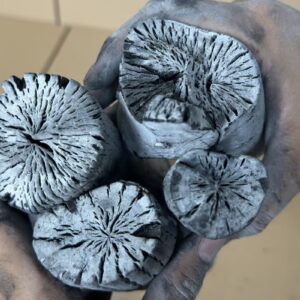 LYCHEE CHARCOAL 5 LamianGlobal than vai trang anh can 1