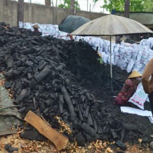 KHAYA CHARCOAL 3 LamianGlobal than xa cu anh lon