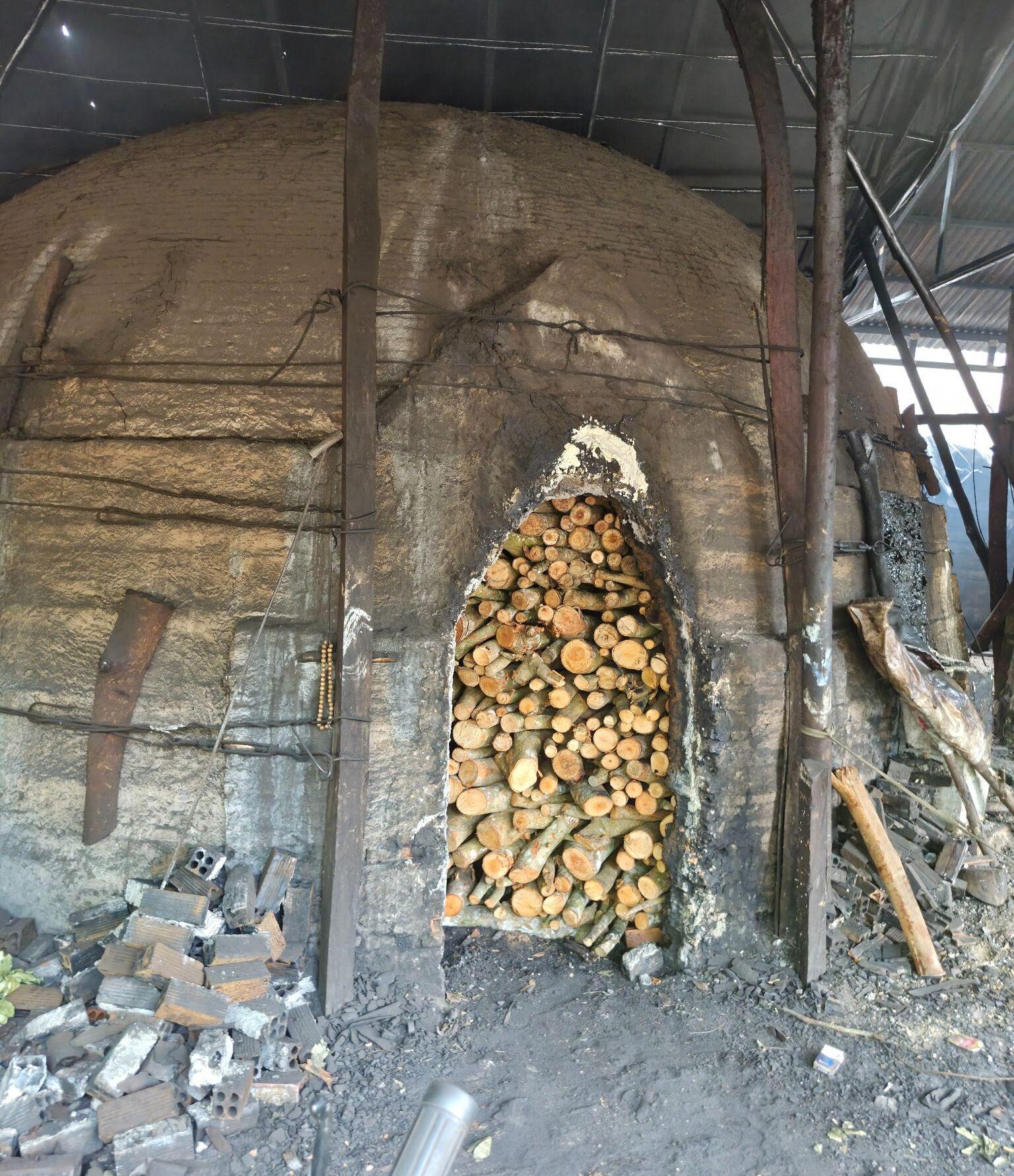 Raw mangrove wood logs neatly stacked inside a traditional clay kiln before the carbonization process