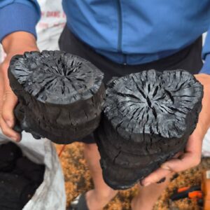 BLACK LYCHEE CHARCOAL 2 BLACK LYCHEE CHARCOAL 03