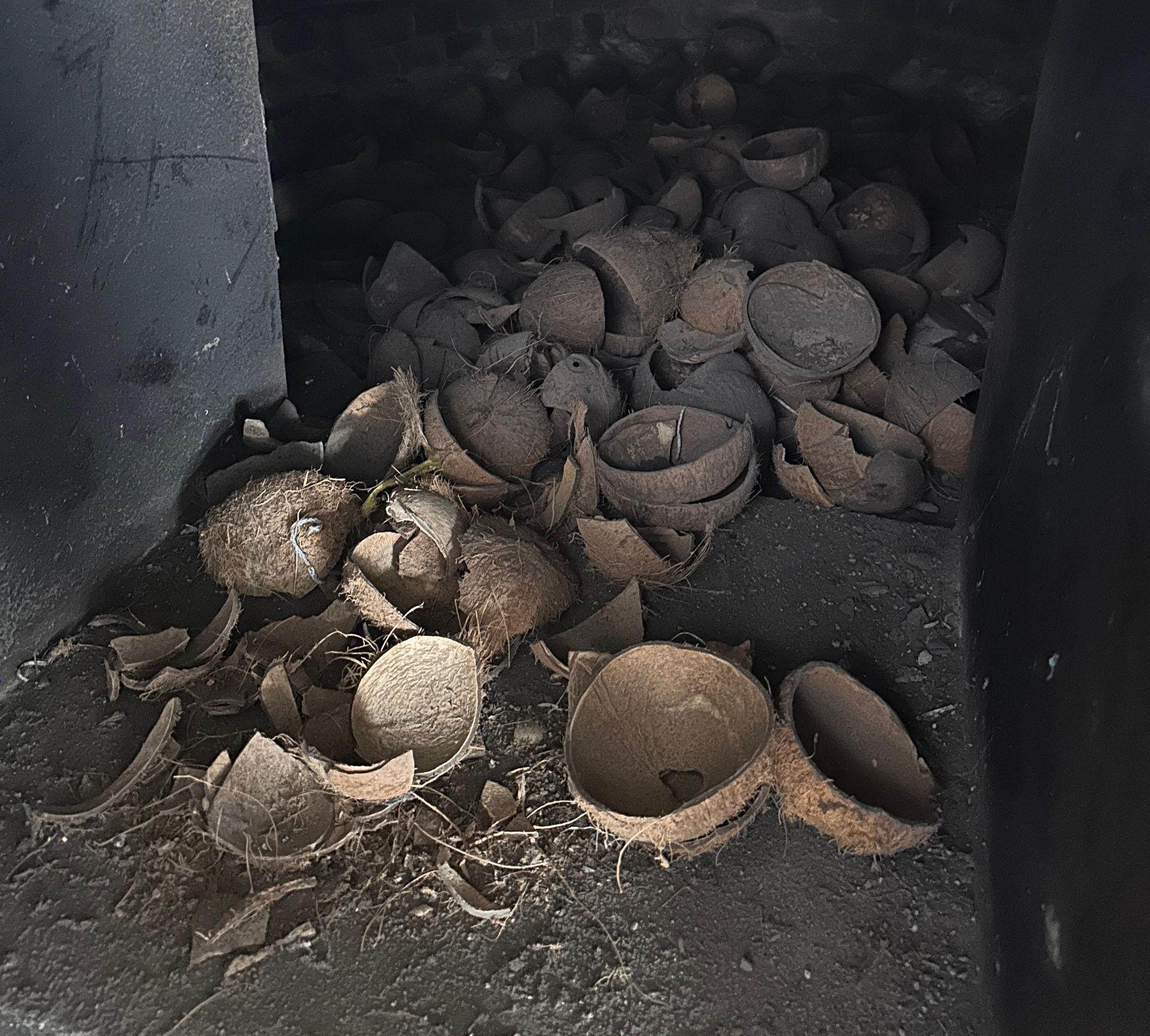 Coconut shell charcoal raw material