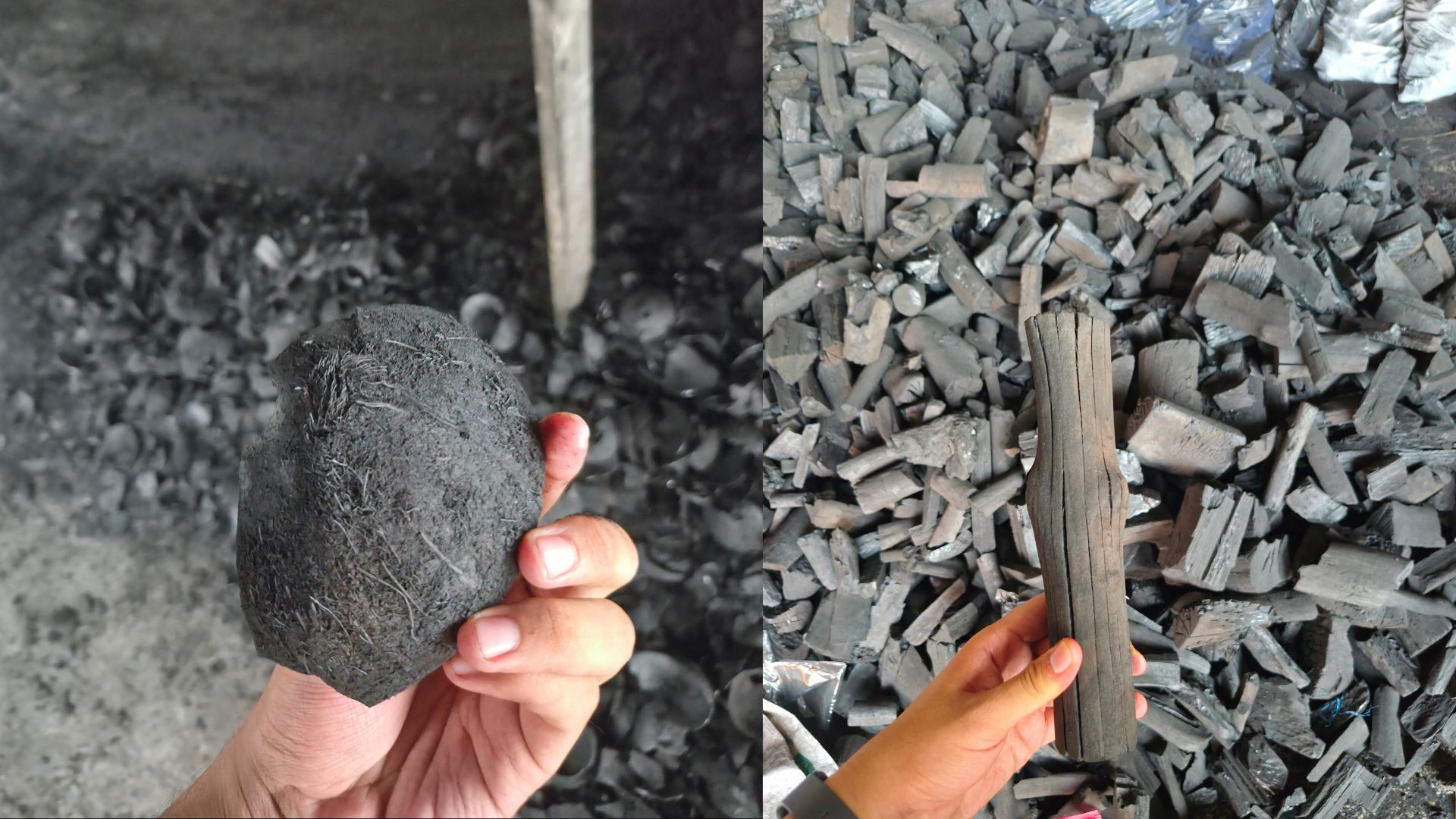 Comparing mangrove charcoal and coconut shell charcoal