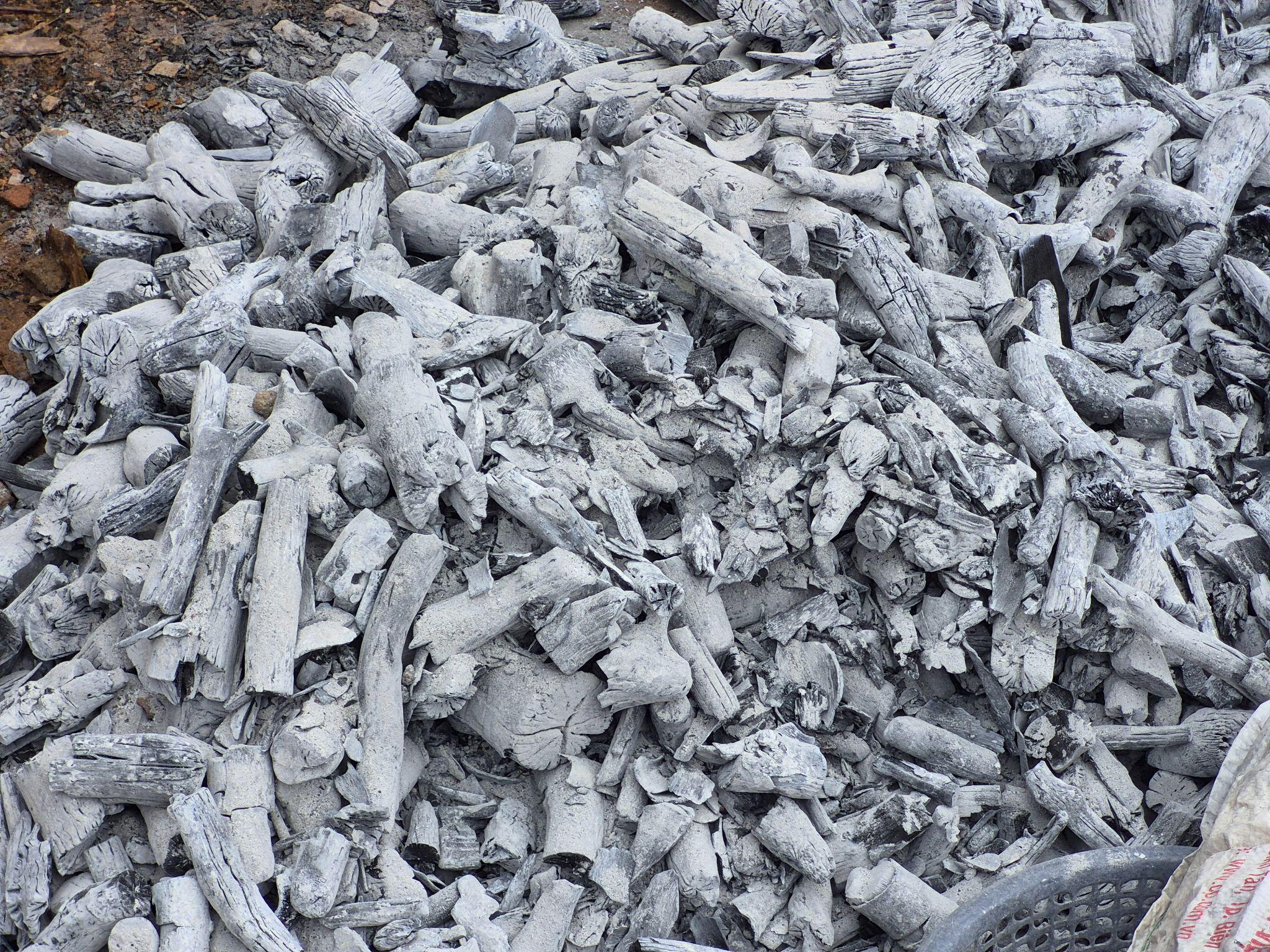 What Is Binchotan Charcoal? Origins And White Charcoal Name 2 Why Binchotan is called white charcoal – greyish-white ash surface after special cooling