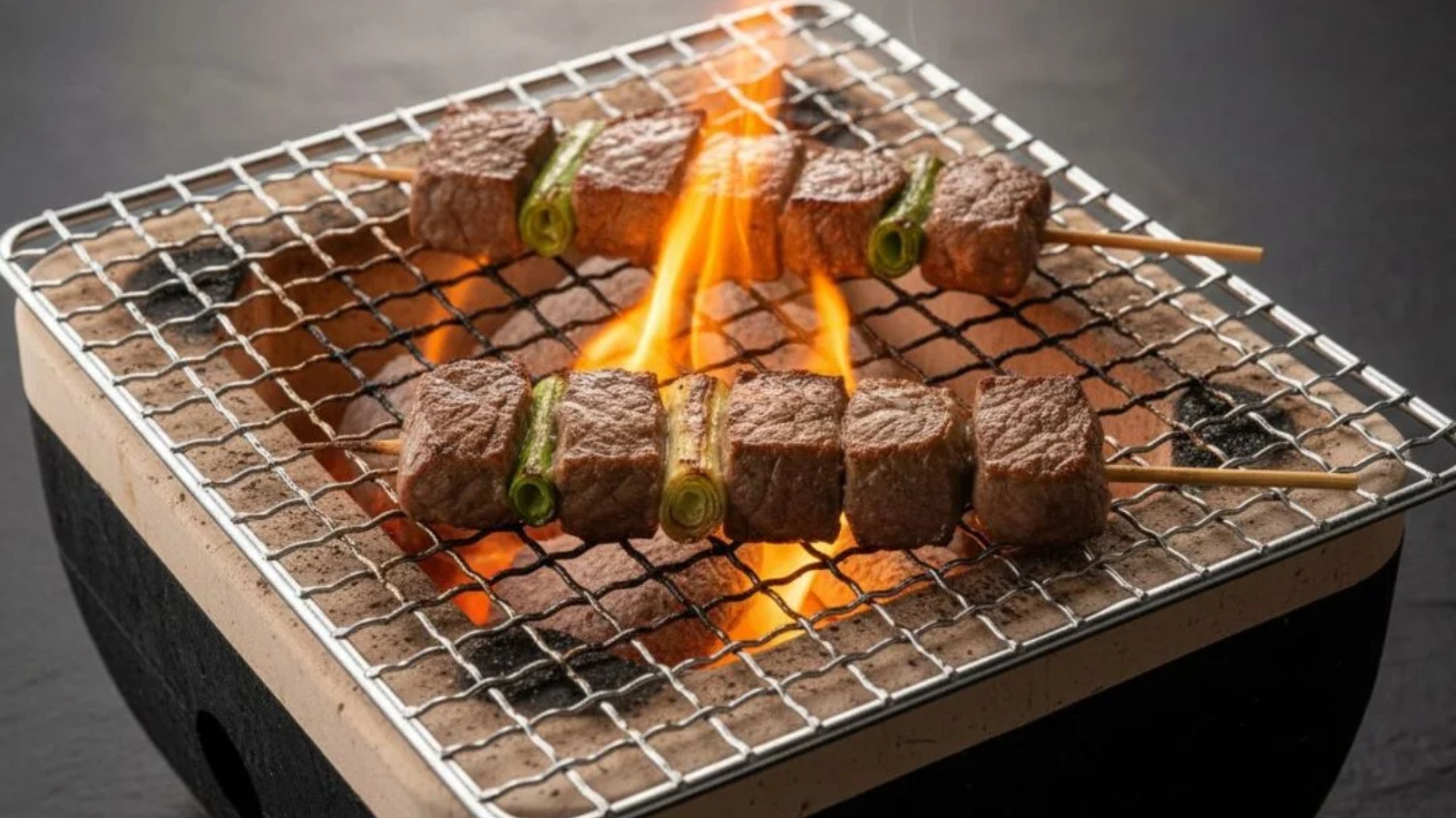 binchotan charcoal for indoor grilling 1