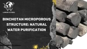 Binchotan Microporous Structure: Natural Water Purification