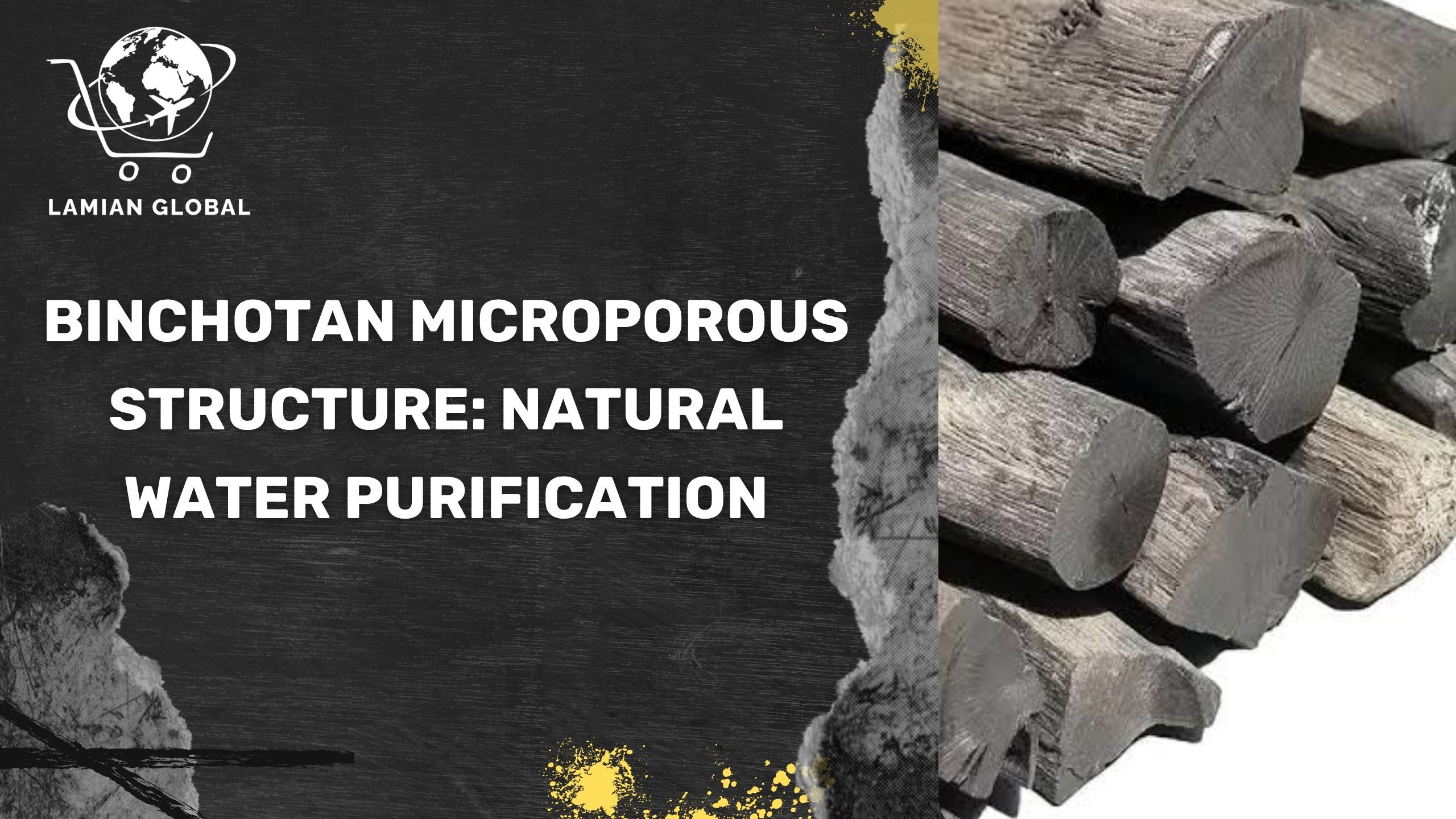 Binchotan Microporous Structure: Natural Water Purification