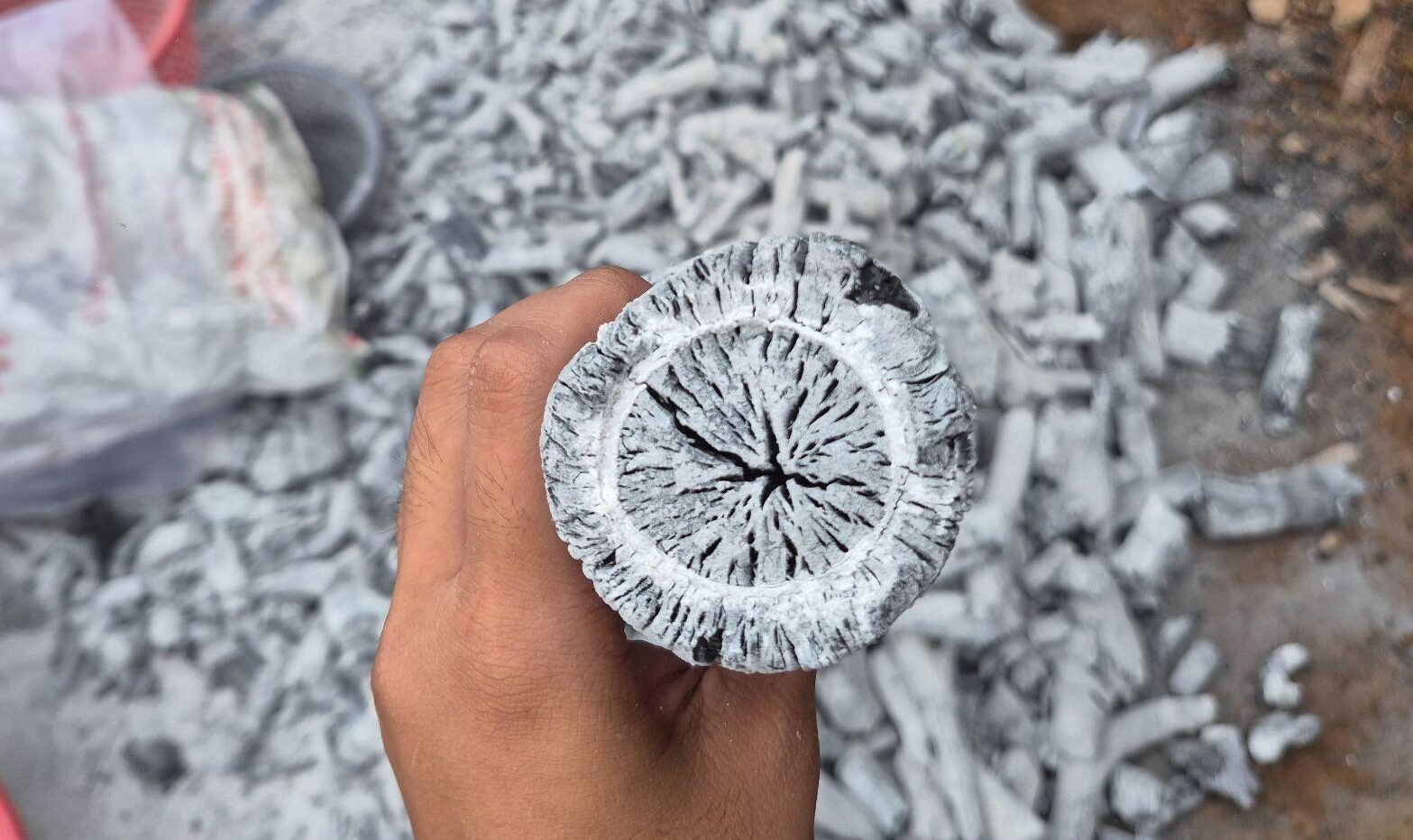 Close-up of dense Binchotan white charcoal structure compared to ordinary black charcoal