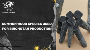 Common wood species used for Binchotan production: Kishu Ubamegashi Oak, Eucalyptus, and Acacia white charcoal guide