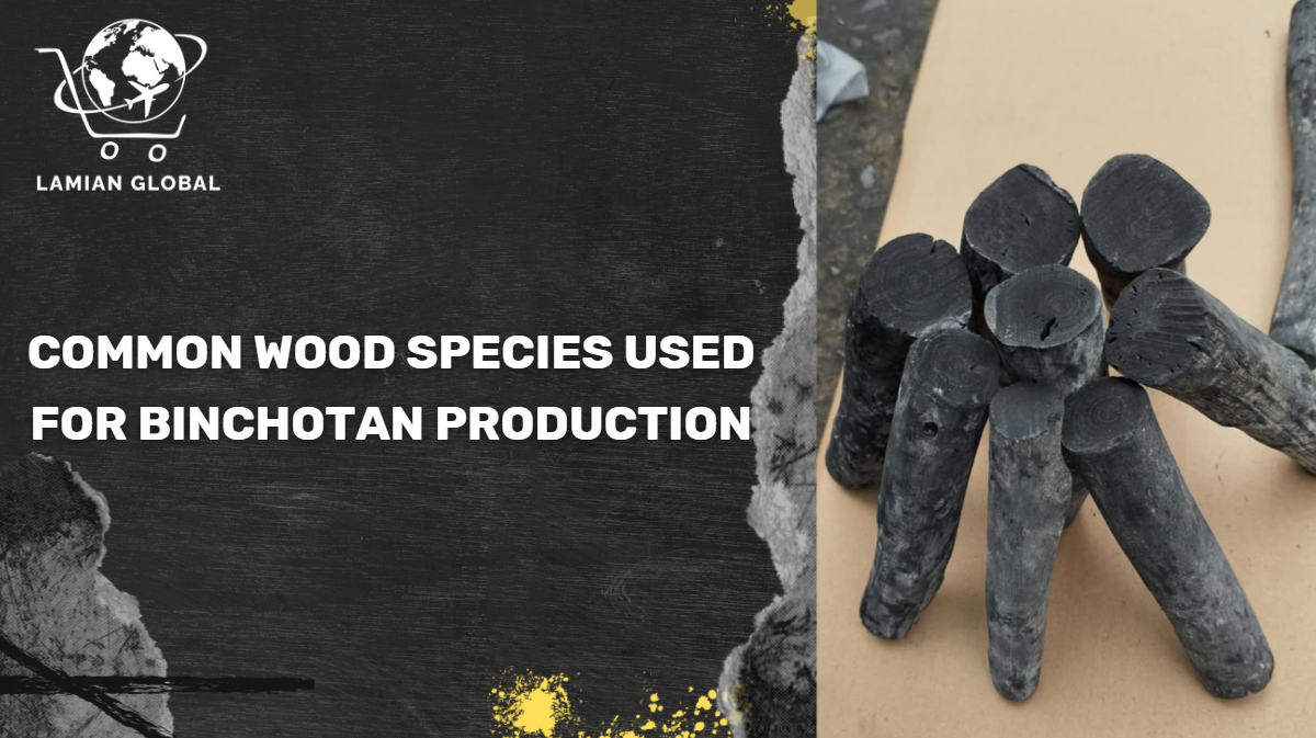 Common wood species used for Binchotan production: Kishu Ubamegashi Oak, Eucalyptus, and Acacia white charcoal guide