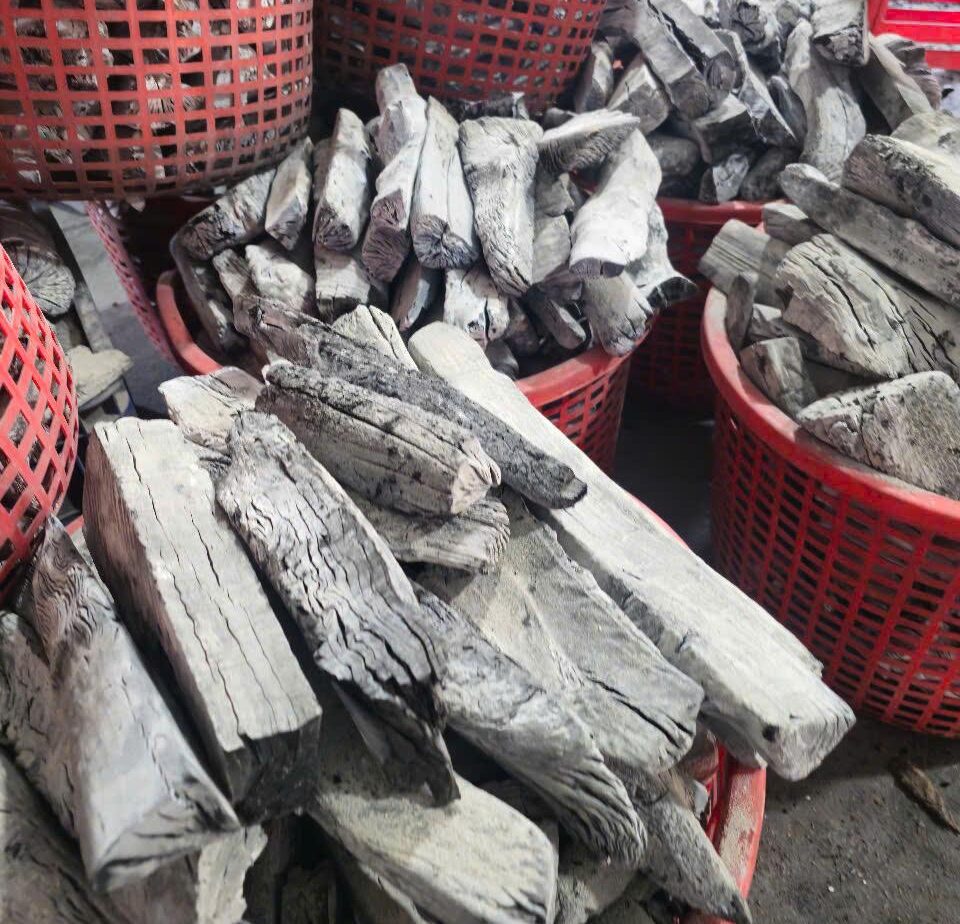 Binchotan Wood Species: Ubame Oak, Eucalyptus & Acacia 1 Premium Binchotan white charcoal for professional restaurant use and industrial export supplyPremium Binchotan white charcoal for professional restaurant use and industrial export supply