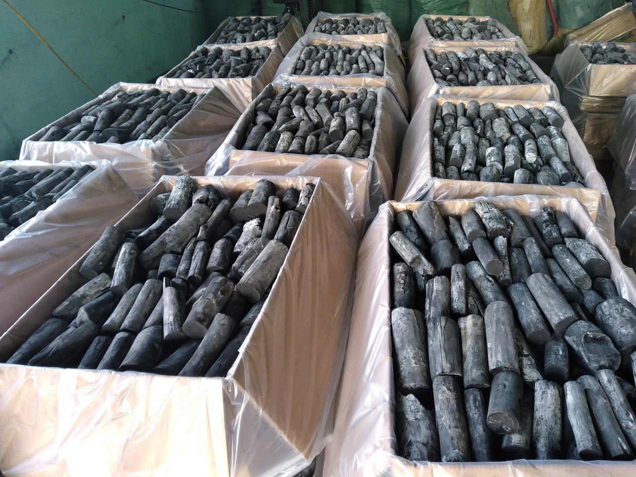 Binchotan Wood Species: Ubame Oak, Eucalyptus & Acacia 3 High-quality Eucalyptus Binchotan charcoal for professional restaurant use and export
