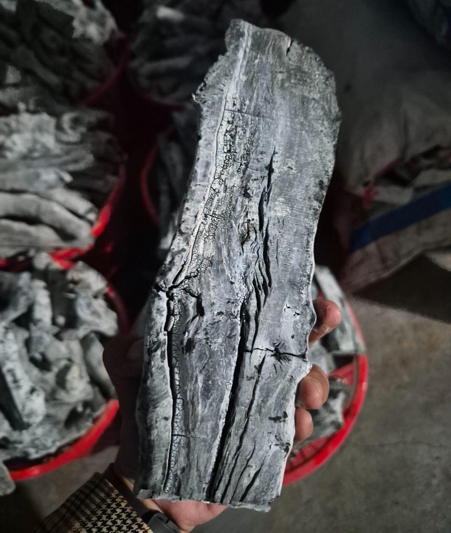 Solid Logs: Raw Material for Binchotan Production