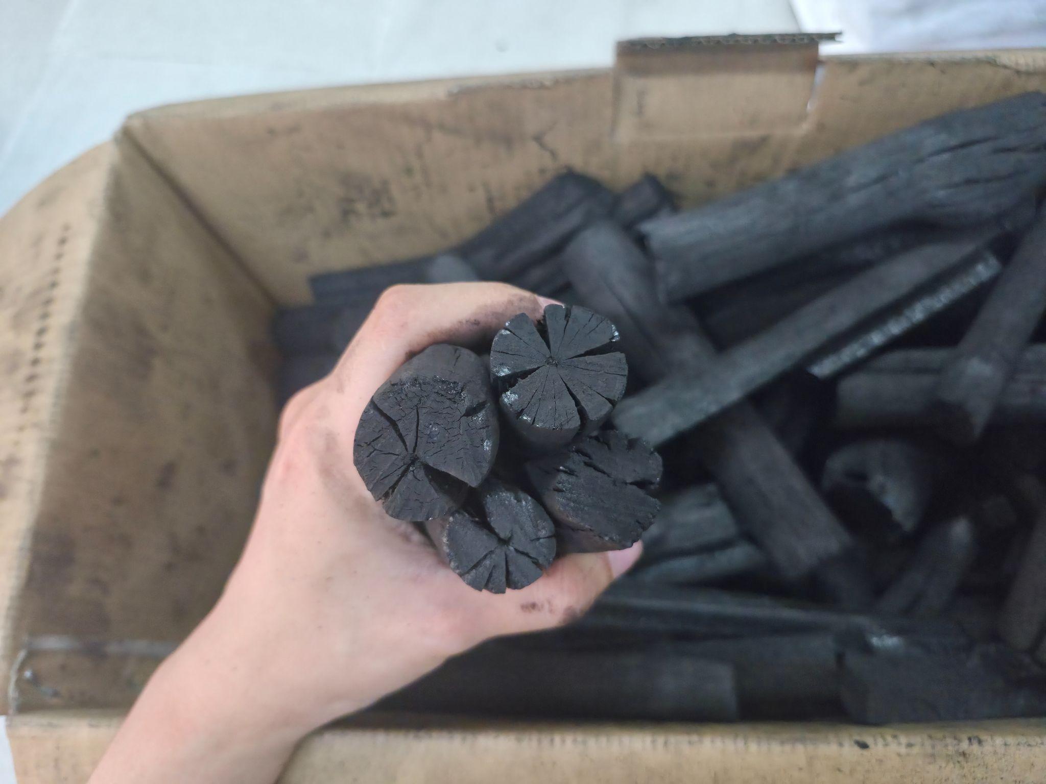 Black Charcoal vs Activated Charcoal: Key Differences & Uses 3 Microscopic structure of black charcoal showing limited natural pores after carbonization